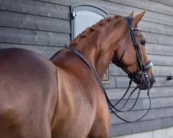 Bride technique Fayperform Presteq