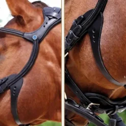 Bridon 2500 Freedom Noir - Stübben