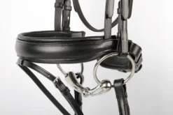 Bridon Allegro - Harry's Horse