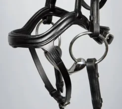 Bridon anatomic Harry horse