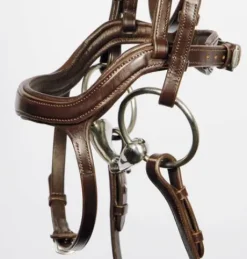 Bridon anatomic Harry horse