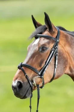 Bridon Anatomic HFI muserolle combinée