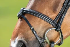 Bridon Anatomic HFI muserolle combinée