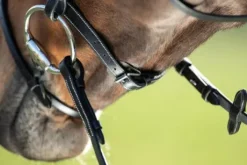 Bridon Anatomic HFI muserolle combinée