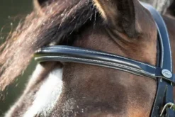 Bridon Anatomic HFI muserolle combinée