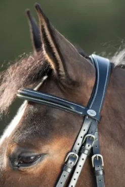 Bridon Anatomic HFI muserolle combinée