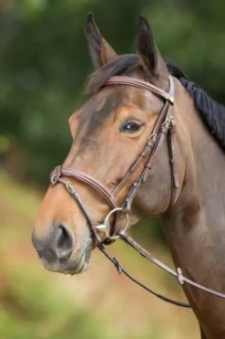 Bridon Anatomic HFI muserolle combinée