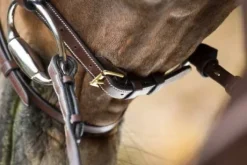 Bridon Anatomic HFI muserolle combinée