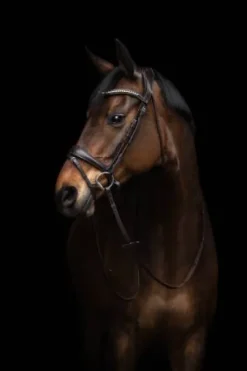 Bridon anatomique Arezzo - HKM - Cuir doux