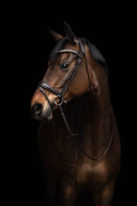 Bridon anatomique Arezzo - HKM - Cuir doux