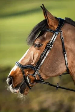 Bridon anatomique Techno HFI