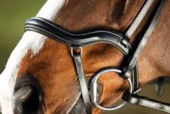 Bridon anatomique Techno HFI