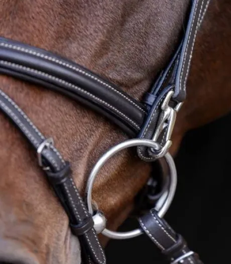 Bridon anatomique X-Line Work - Waldhausen - Mousquetons pratiques