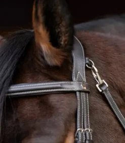 Bridon anatomique X-Line Work - Waldhausen - Mousquetons pratiques