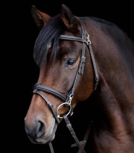 Bridon anatomique X-Line Work - Waldhausen - Mousquetons pratiques