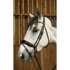 Bridon avec muserolle combinée large et vernie  Working Collection - Dy'on