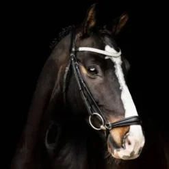 Bridon Ballarina Muserolle allemande Noir - SD Design