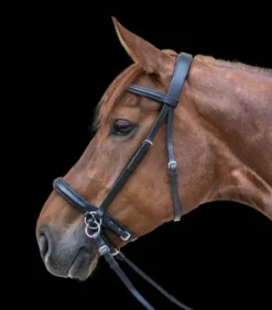 Bridon bitless two star noir Waldhausen