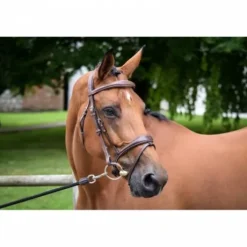 Bridon Bruxelles - Collection One - Jump'in