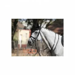 Bridon Bruxelles - Collection One - Jump'in