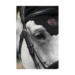 Bridon Bruxelles - Collection One - Jump'in