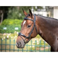 Bridon Bruxelles - Collection One - Jump'in