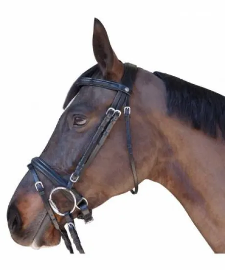 Bridon Canter euro pull back