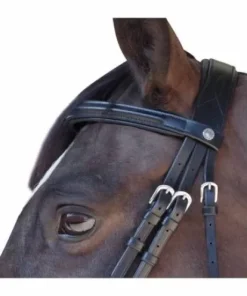 Bridon Canter euro pull back