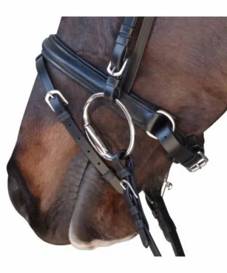 Bridon Canter euro pull back