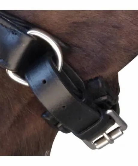 Bridon Canter euro pull back