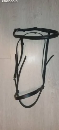 Bridon cheval