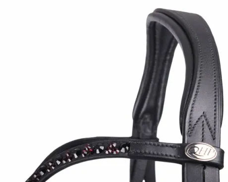 Bridon chianti bordeaux QHP