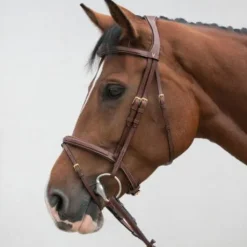 Bridon classique - HVN - Confort et stabilité