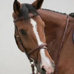 Bridon classique - HVN - Confort et stabilité