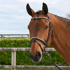 Bridon Clincher - Collection One Premium - Jump in