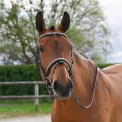 Bridon Clincher - Collection One Premium - Jump in