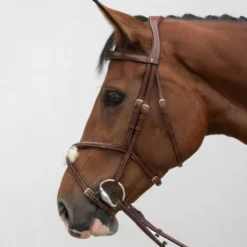 Bridon crossline avec muserolle mexicaine - HVN