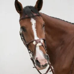 Bridon crossline avec muserolle mexicaine - HVN