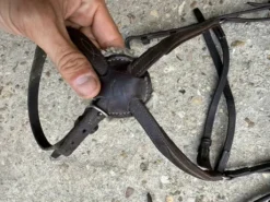 Bridon cwd t3 havane