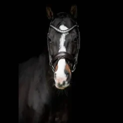 Bridon Danciero - SD Design