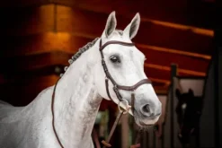 Bridon de compétition micklem2 - Horseware - pour petit cheval