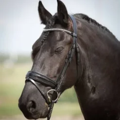 Bridon Diamond Lacque - Harry's Horse