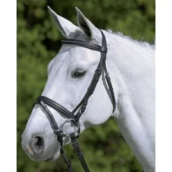 Bridon diamond star Waldhausen