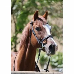 Bridon Disco - JU & PA - Galon noir