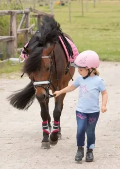 Bridon diva stella Harry's horse