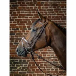 Bridon Dy'on collection muserolle et frontal anatomique