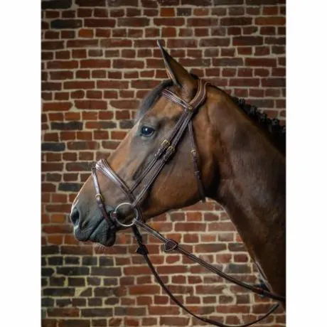 Bridon Dy'on collection muserolle et frontal anatomique