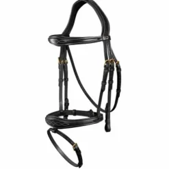 Bridon Dy'on collection muserolle et frontal anatomique