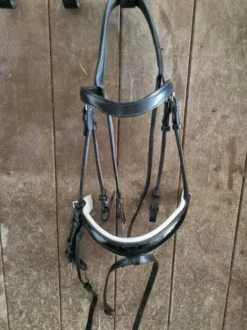 Bridon Dyon dressage vernis et blanc taille cob