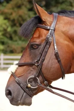 Bridon Dy'on working collection muserolle mexicaine